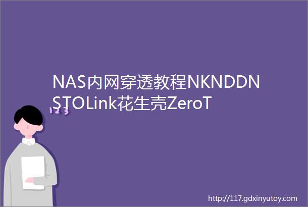 NAS内网穿透教程NKNDDNSTOLink花生壳ZeroTier谁更强